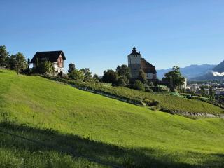 Pinot noir des Grisons : la Bündner Herrschaft