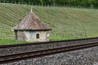 Dôle du Valais et dénominations traditionnelles