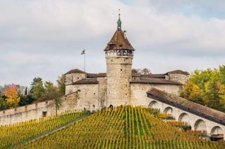 Vins de Suisse alémanique : cantons et cépages