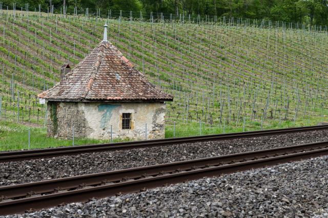 Dôle du Valais, Fendant, Salvagnin : ce que garantissent les noms traditionnels
