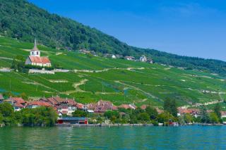 Vin du lac de Bienne : villages, cépages et AOC