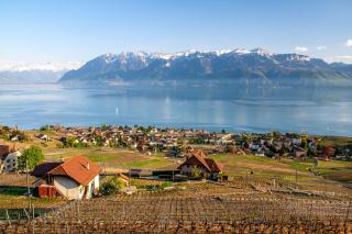 Vins de La Côte (Vaud) : lieux, cépages et AOC
