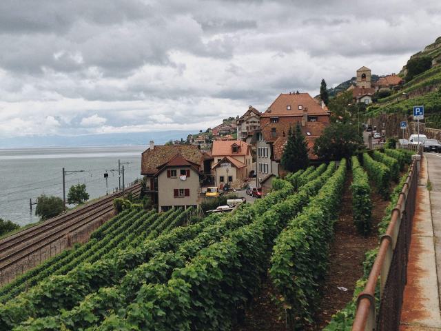 Visiter les vignobles suisses Visiter les vignobles suisses