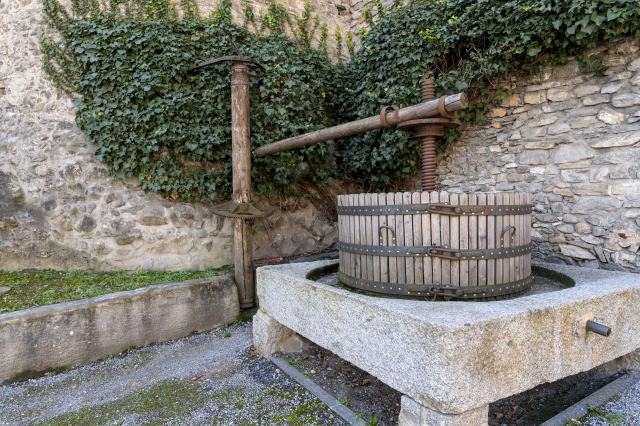 Trois musées romands consacrés à la vigne et au vin