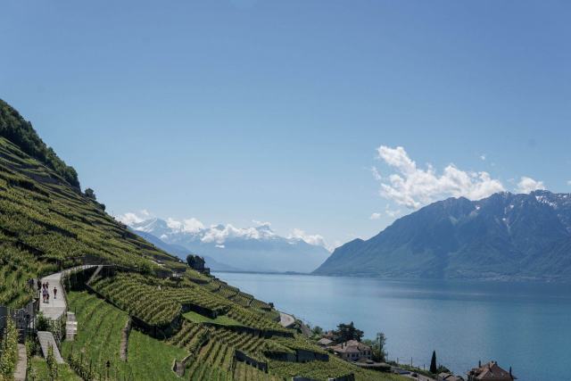 Dézaley et Calamin, deux grands crus au bord du Léman Dézaley et Calamin, deux grands crus au bord du Léman