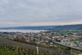 Concours de vins suisses : jury, médailles, limites