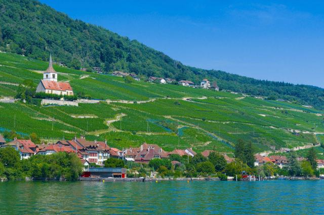 Le vignoble du lac de Bienne, de La Neuveville à Douanne Le vignoble du lac de Bienne, de La Neuveville à Douanne