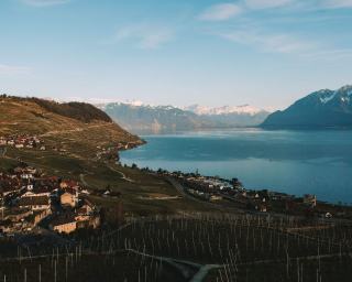 Terrasses de Lavaux, site UNESCO : visiter à pied