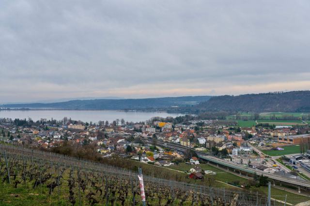 Comment fonctionne un concours de vins et que vaut une médaille