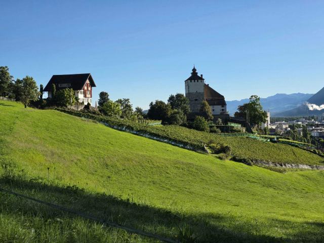 Le pinot noir grison, de Fläsch à Malans Le pinot noir grison, de Fläsch à Malans