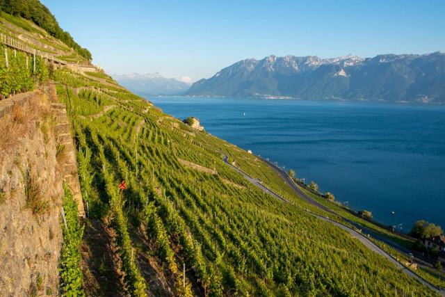 Un guide indépendant des vins suisses