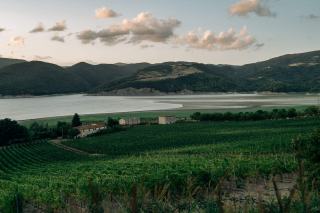 Œil-de-Perdrix, rosé de pinot noir et terme protégé
