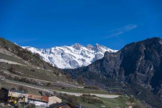 Heida : le savagnin blanc du Haut-Valais
